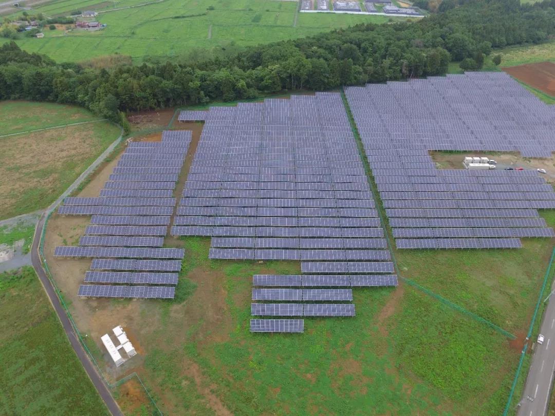 1538201416397828.jpg 5.jpg